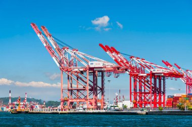 Tayvan 'ın Kaohsiung limanındaki konteynır vinçlerinin görüntüsü.