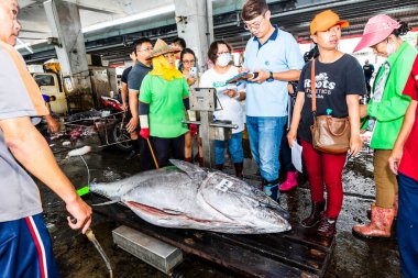Donmuş mavi yüzgeçli ton balığı açık arttırmayı bekliyor, Donggang balık pazarı açık arttırma sahnesi Pingtung, Tayvan 'da..