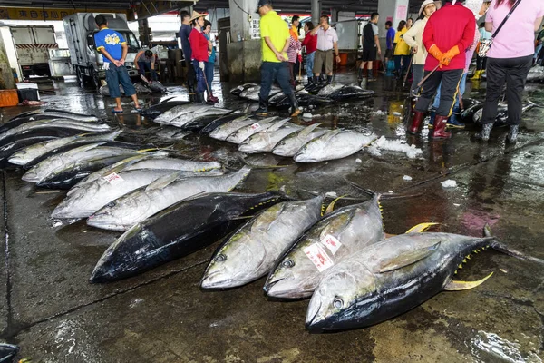 Zmrazený Tuňák Obecný Rybím Trhu Čeká Aukci Donggang Rybí Trh — Stock fotografie