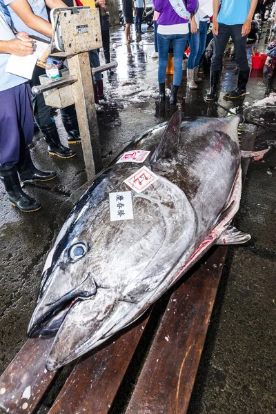 Zamrożony Tuńczyk Błękitnopłetwy Rynku Rybnym Czekający Aukcję Rynek Rybny Donggang — Zdjęcie stockowe