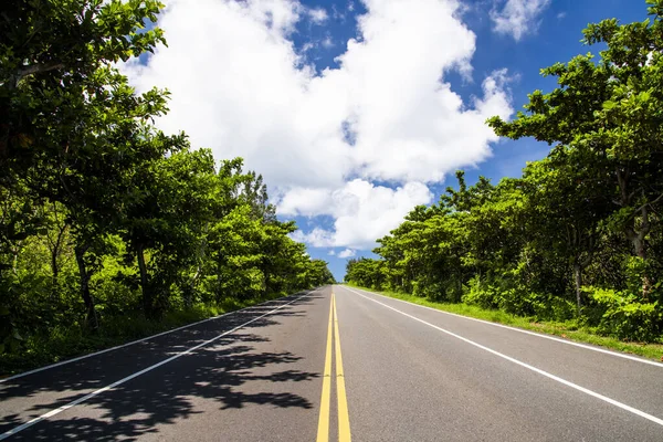 Pingtung, Tayvan kırsalında mavi gökyüzü olan asfalt yol.