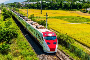 Tze-Chiang Limited Express (Puyuma) treni Hualien, Tayvan 'ın güzel kırsalından geçiyor.
