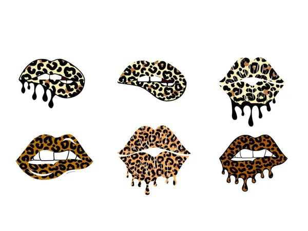 Kissing Biting Lips Leopard Print Collection Dripping Paint Cheetah Design — Stock Vector