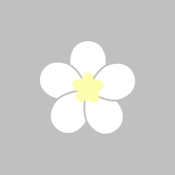 Tropische Blume Plumeria Flache Icon Malediven Natur Exotischer Urlaub Farbgefülltes — Stockvektor