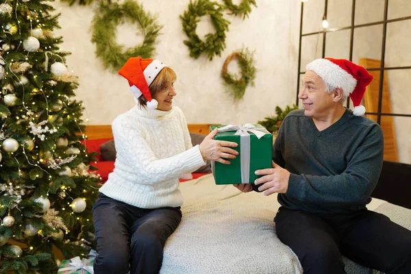 Couple Holding Present Christmas Tree Home — Stock Photo, Image
