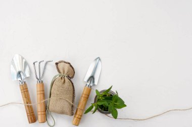 Bahçe aletleri ve çiçek saksısında yeşil bitki beyaz arka planda, kopyalama alanı