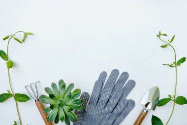 Beyaz arkaplanda kopyalama alanı olan bahçe araçları