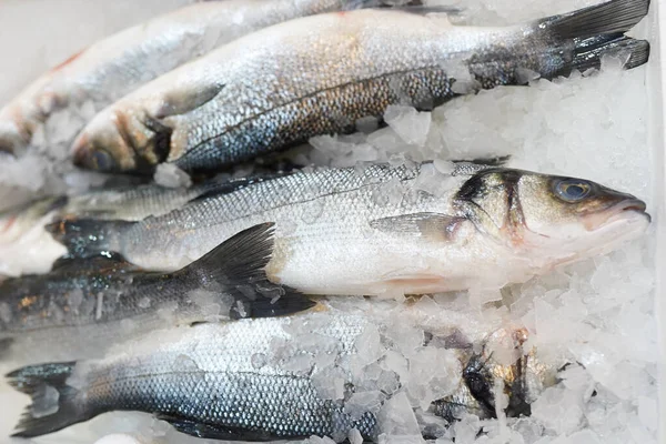 Clese up of frozen fish on the shelf in the supermarket