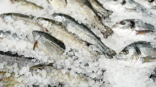 Clese up of frozen fish on the shelf in the supermarket