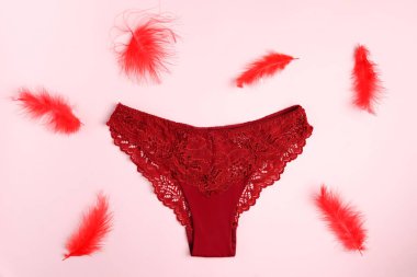 Pembe arka planda dantelli kırmızı külot ve kopya alanı olan tüyler.