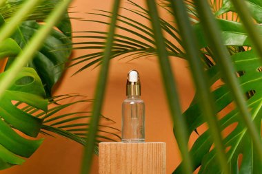 Turuncu arka planda ahşap kürsüde palmiye ve canavar yapraklarıyla süslü kozmetik şişe yağı. aromatik yağ, doğal organik güzellik ürünleri.