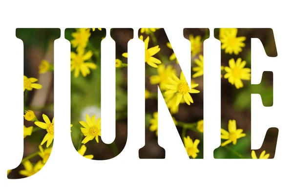 Text Juni Från Naturen Blommor Bakgrund Isolerad Vit — Stockfoto