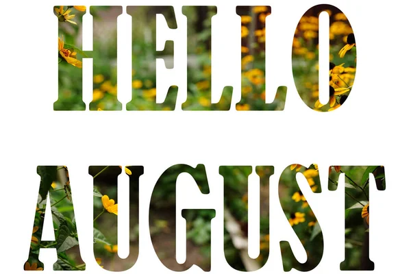 Text Hello August Přírody Květiny Pozadí Izolované Bílém — Stock fotografie
