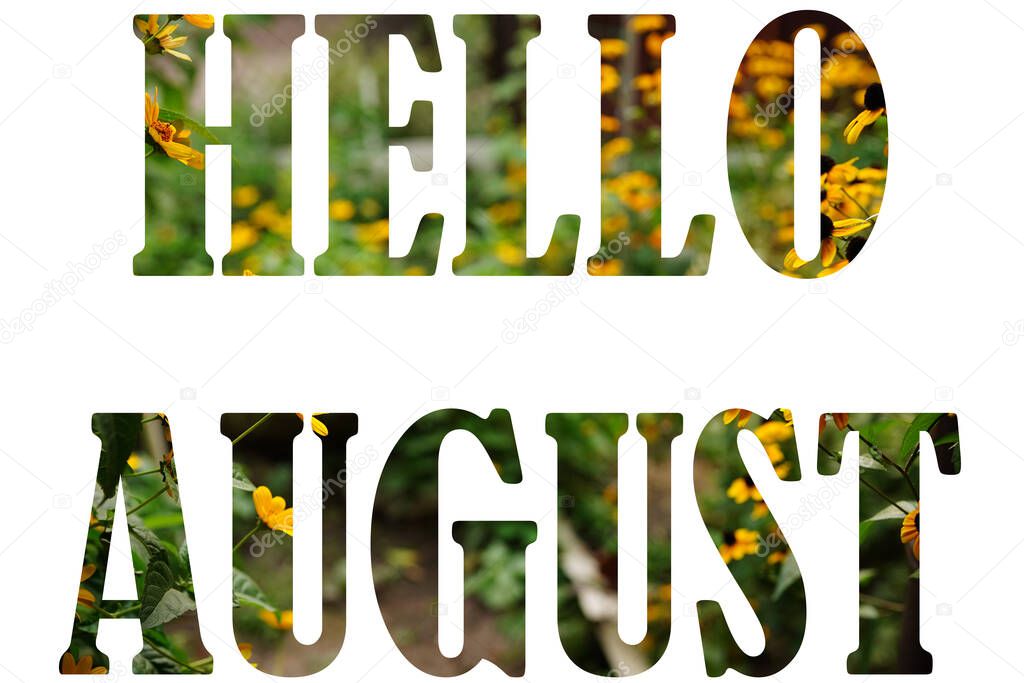 Text HELLO AUGUST from nature flowers background isolated on white