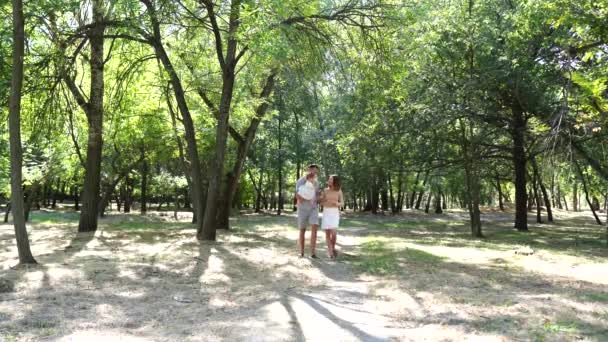 公园里的快乐家庭阳光的光芒 爸爸和宝宝在日落时快乐的散步 幸福家庭的概念 — 图库视频影像