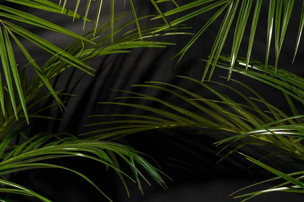 Duvarda Palmiye Yaprakları Gölgeler Olan Koyu Siyah Bir Arkaplan — Stok fotoğraf