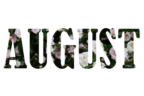 Szó Augusztus Készült Levelek Virágok Fehér Háttérrel Kreatív Fotó — Stock Fotó