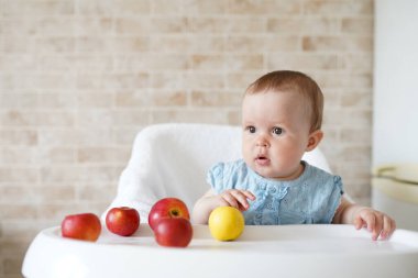 Kafkasyalı şirin çocuk portresi yüksek sandalyede oturmuş elma meyvesi yiyor. Günlük yaşam tarzı. Gerçekten özgün, tatlı bir ev anı. Boşluğu kopyala