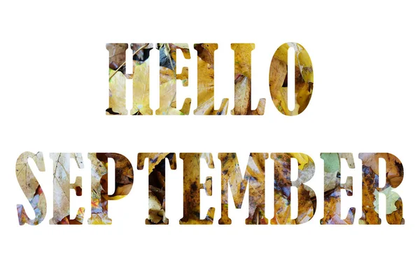 Γεια Σας Σεπτέμβριος Φθινοπωρινό Κείμενο Από Κίτρινα Φύλλα Απομονώνονται Λευκό — Φωτογραφία Αρχείου