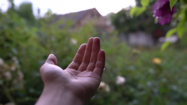 Bonne Main Femme Jouer Attraper Des Gouttes Pluie Sur Fond — Video