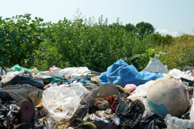 Büyük çöp yığını yolu, doğayı ve mavi gökyüzünü aydınlatıyor.