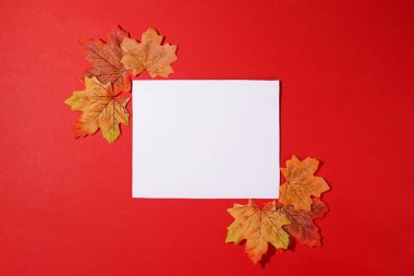 Düşen yapraklarla kırmızı zemin üzerinde tasarım sunumu için sonbahar kartı modellemesi