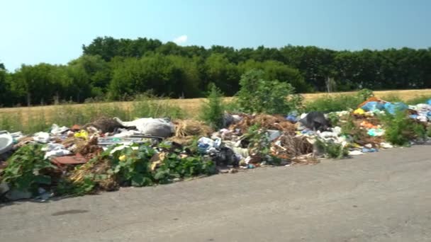 Grande Discarica Neare Strada Natura Cielo Blu Sfondo — Video Stock