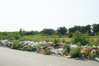 Büyük çöplük doğadaki yola yakın.