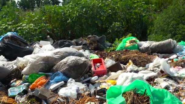 Grande Pilha Lixo Perto Estrada Natureza — Vídeo de Stock