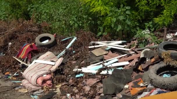 Montón Basura Calle Cerca Árboles Verdes — Vídeos de Stock