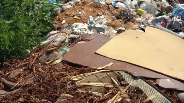 Montón Basura Calle Cerca Árboles Verdes — Vídeo de stock