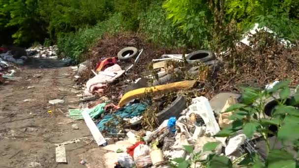 근처의 거리에 쓰레기 — 비디오
