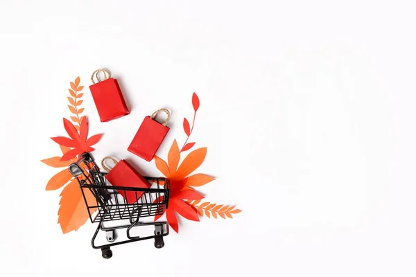 Fall leaves and paper bags in grocery trolley on white background. Concept Autumn sale. Banner with copy space.