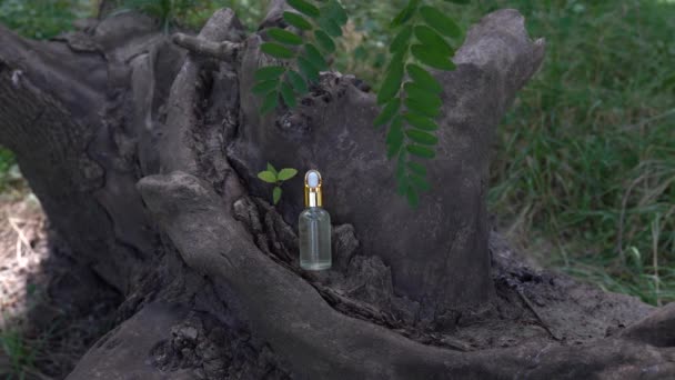 Szklana Butelka Kosmetyczna Kwasem Hialuronowym Drewnie Krem Nawilżający Lub Płyn — Wideo stockowe