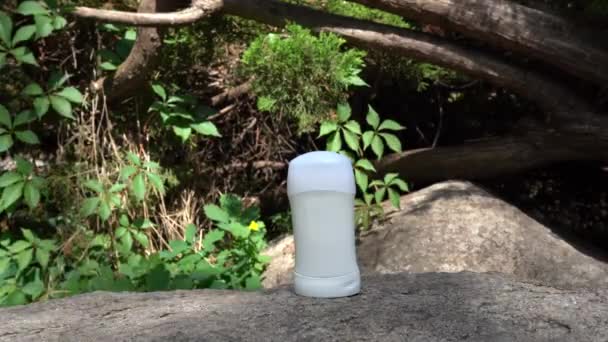 Stick Desodorante Ficar Pedra Perto Árvore Verde Com Luzes Solares — Vídeo de Stock