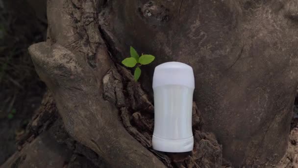 Desodorante Blanco Permaneciendo Madera Árbol Con Luces Solares Sombras — Vídeo de stock