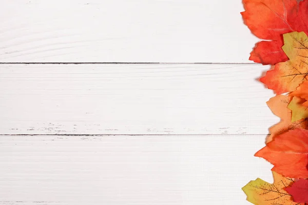 Herfst Achtergrond Met Gekleurde Bladeren Witte Houten Bord — Stockfoto
