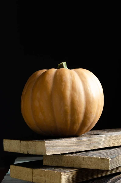 balkabağı siyah arka planda kalaslarda yatıyor.