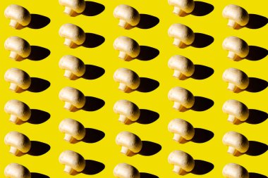 Mantar şampiyonları modeli. Sarı arka plan görünümünde taze çiğ tüm şampiyonlar