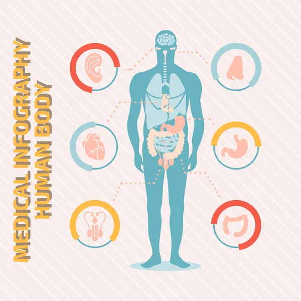Infografis medis tubuh manusia - Stok Vektor