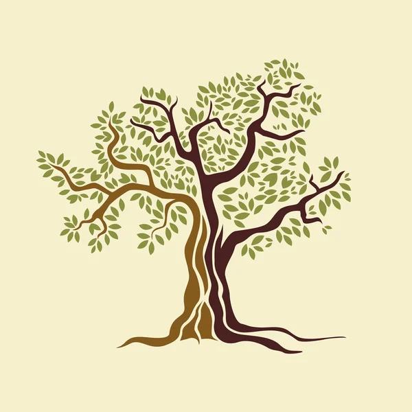 Zeytin ağacı vektör çizim