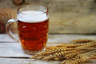 Taze buğday birası ve buğday kulakları. Bira fabrikası konsepti.
