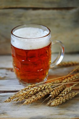 Taze buğday birası ve buğday kulakları. Bira fabrikası konsepti.
