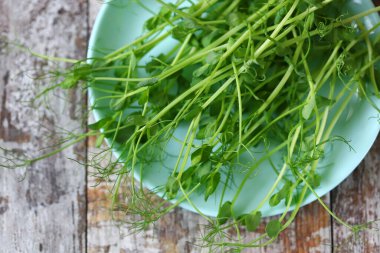 Ahşap bir yüzey üzerinde mikroyeşilliklerle kaplanmış..