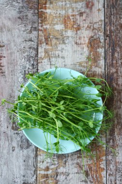 Ahşap bir yüzey üzerinde mikroyeşilliklerle kaplanmış..