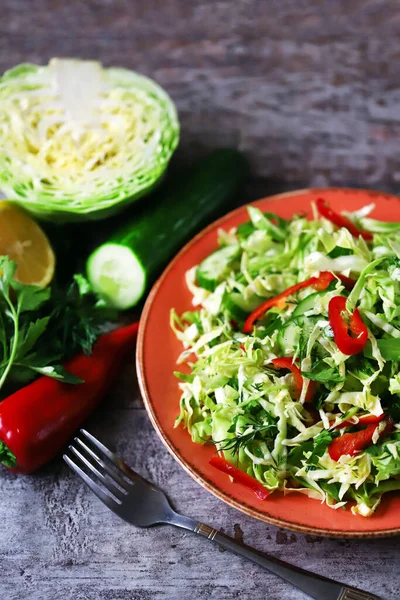 Salada Vitamina Saudável Com Repolho Fresco Salada Primavera Com Repolho — Fotografia de Stock