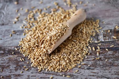 Yulaf ezmesi. Tahta bir spatulada yulaf. Çiğ yulaf ezmesi.