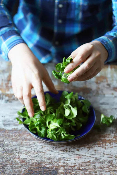 Salad Mash Piring Biru — Stok Foto