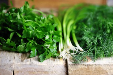 Ahşap yüzeyde taze yeşillikler. Dill, maydanoz, yeşil soğan. Sağlıklı yemek hazırlamak için yeşil otlar..