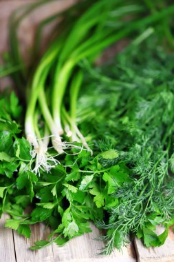 Ahşap yüzeyde taze yeşillikler. Dill, maydanoz, yeşil soğan. Sağlıklı yemek hazırlamak için yeşil otlar..